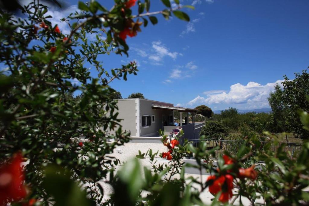 House Meri photo 1