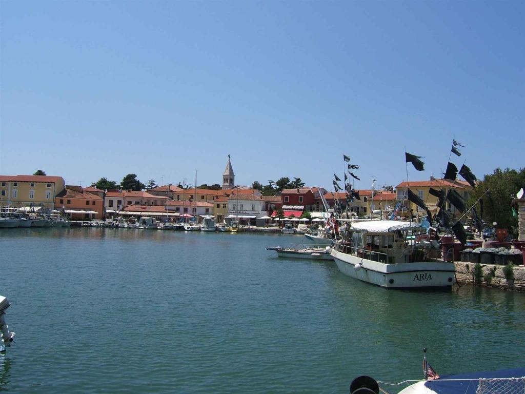 Apartment in Novigrad - Istrien 9815 photo 3