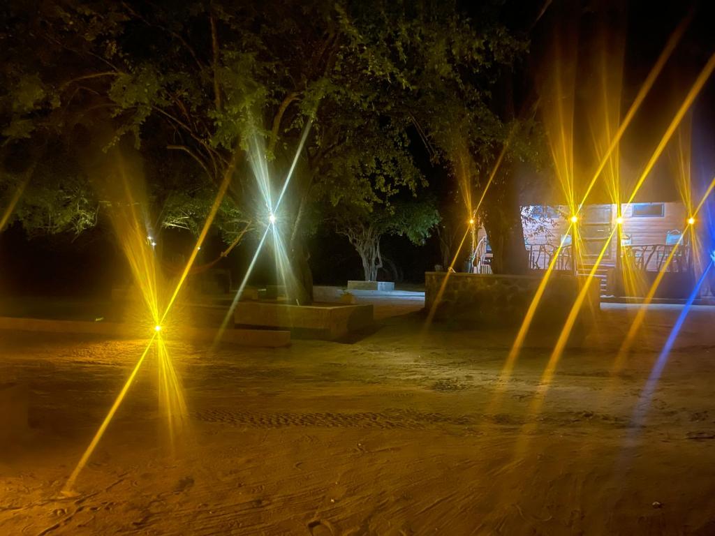 Yala Wild Safaris Camp photo 4