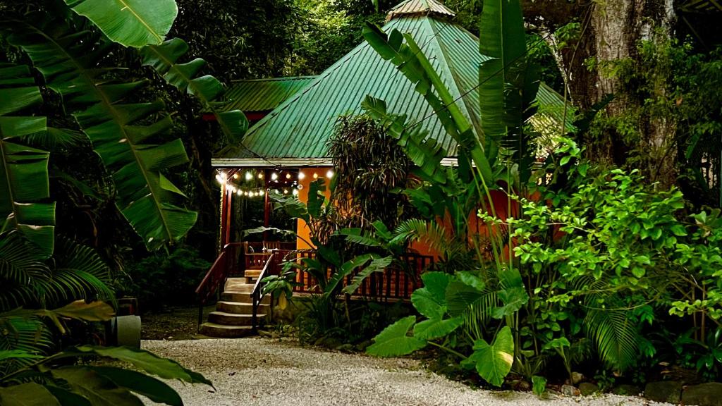 Pochote House