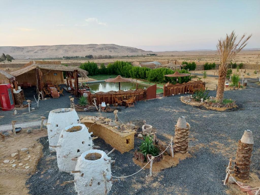 stars camp oasis