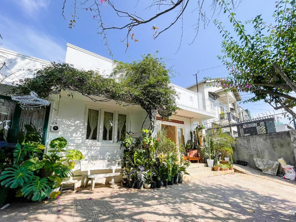 Hat De homestay photo 1