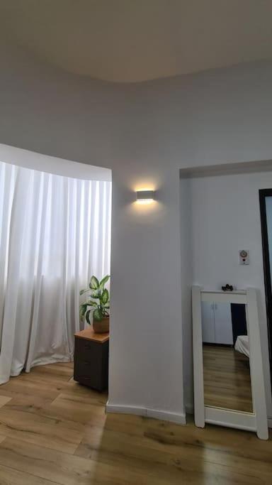 Bright Studio in Shapira photo 3