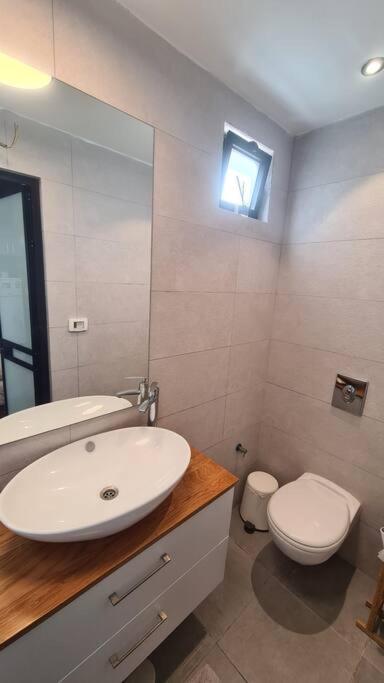 Bright Studio in Shapira photo 4