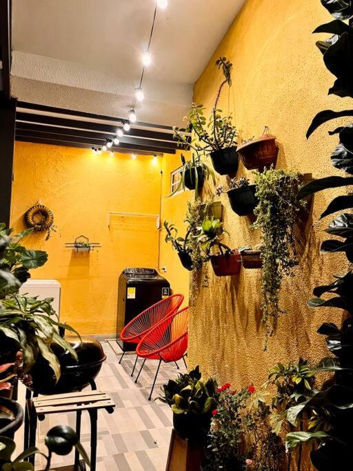 Casa Jardin: Hermosa, amplia y muy cerca al parque photo 2