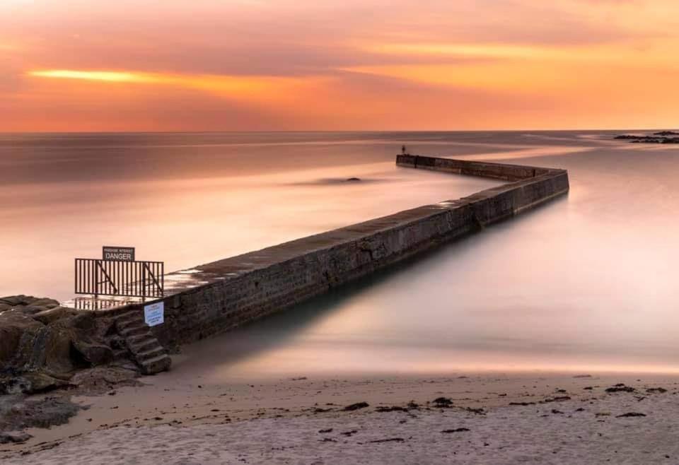 DU SEL A LA VIE, grand studio entre marais et océan photo 1