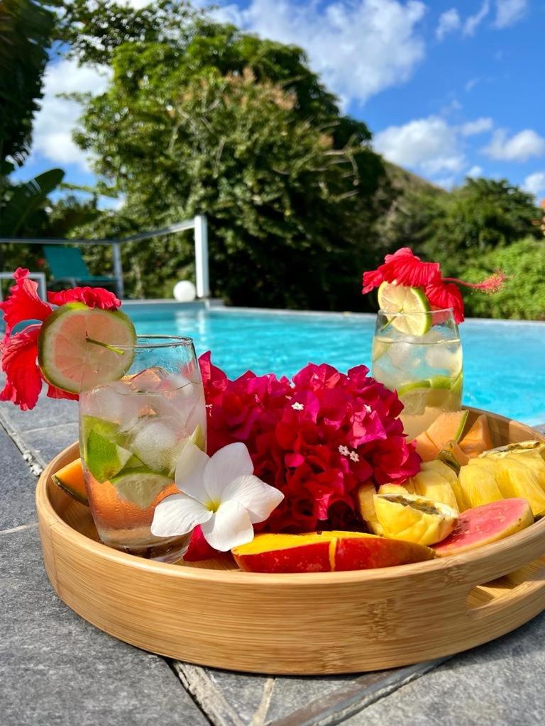 La Sucrerie, magnifique villa avec Piscine photo 1
