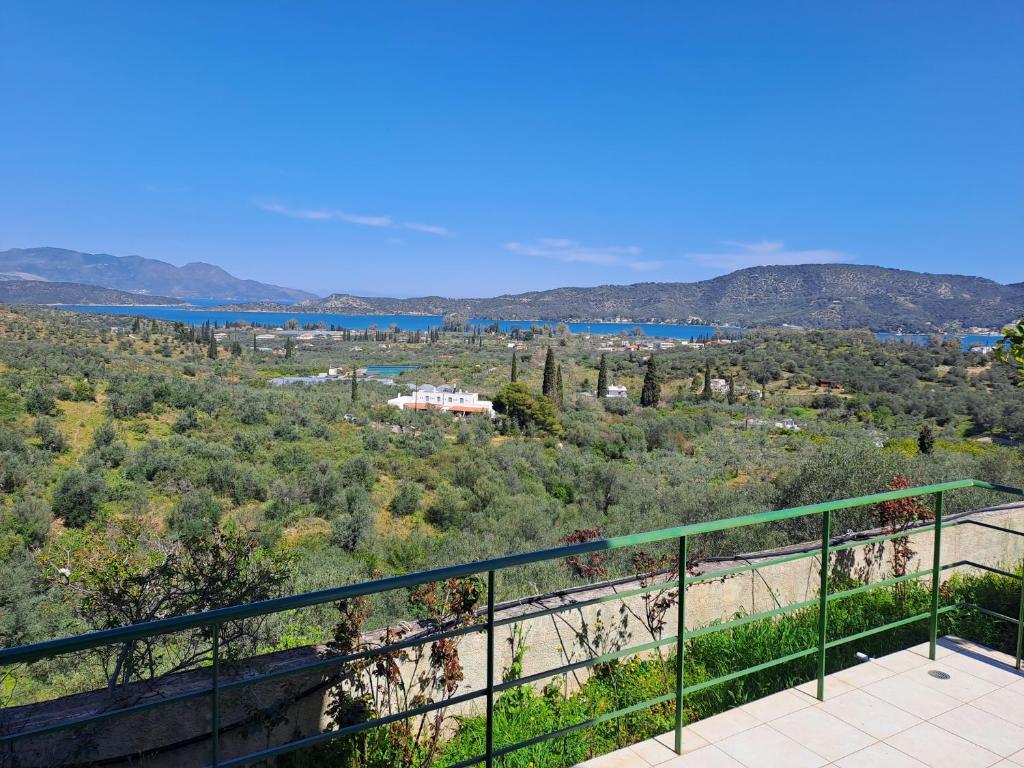GEORGE'S VILLA photo 4