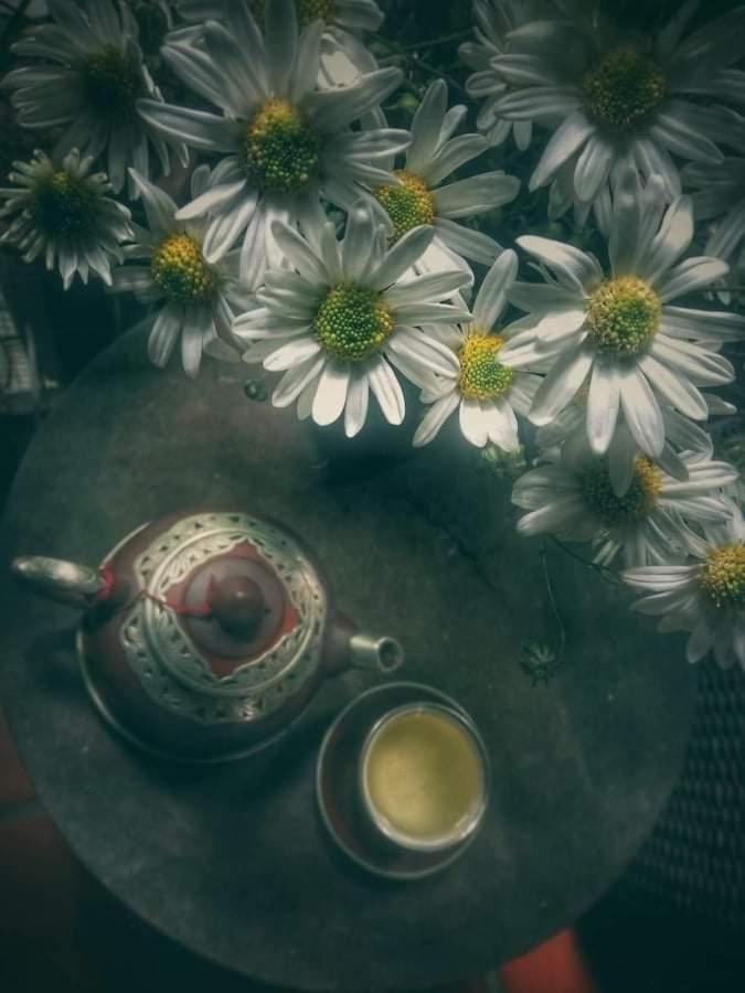 Hanoi Balcony Homestay