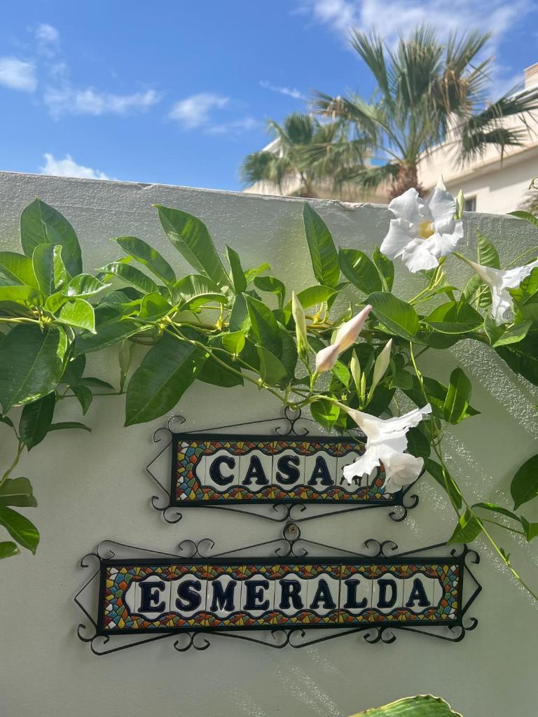 Casa Esmeralda - holiday apartment Costa Blanca photo 3