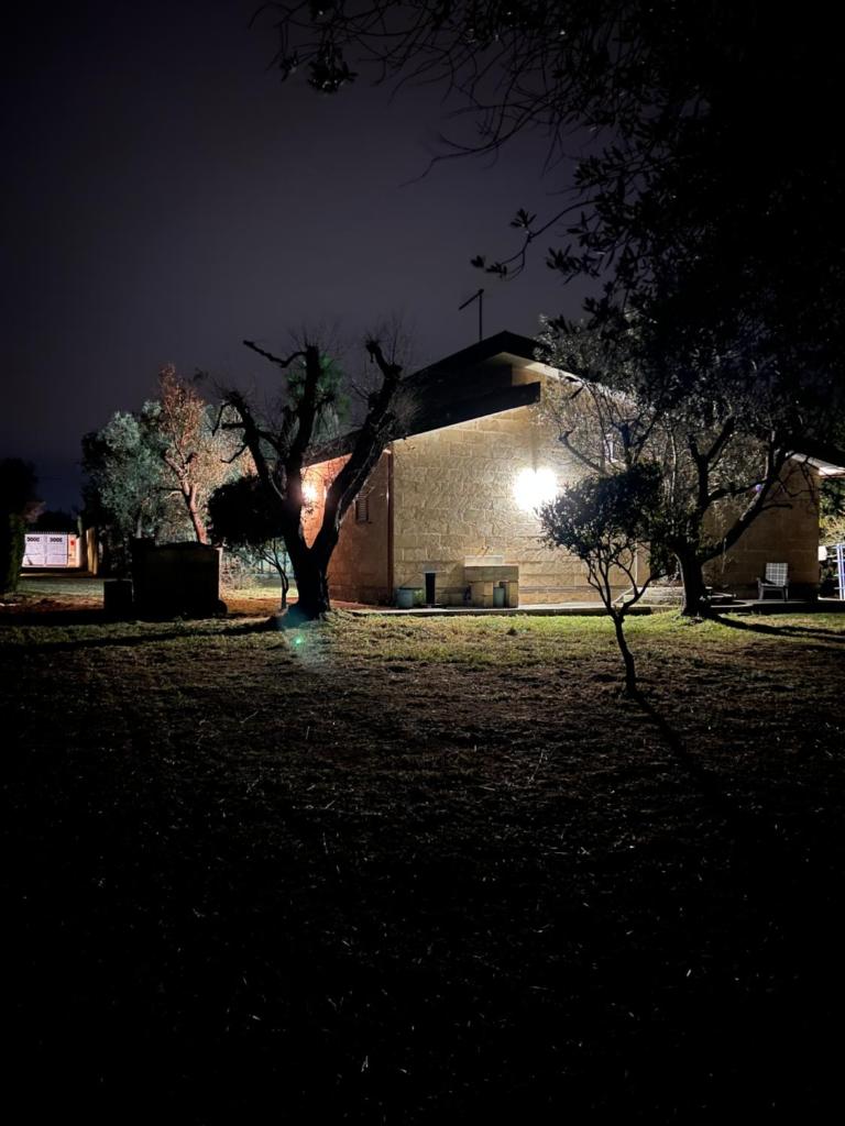 L'ulivo di Mattia photo 2