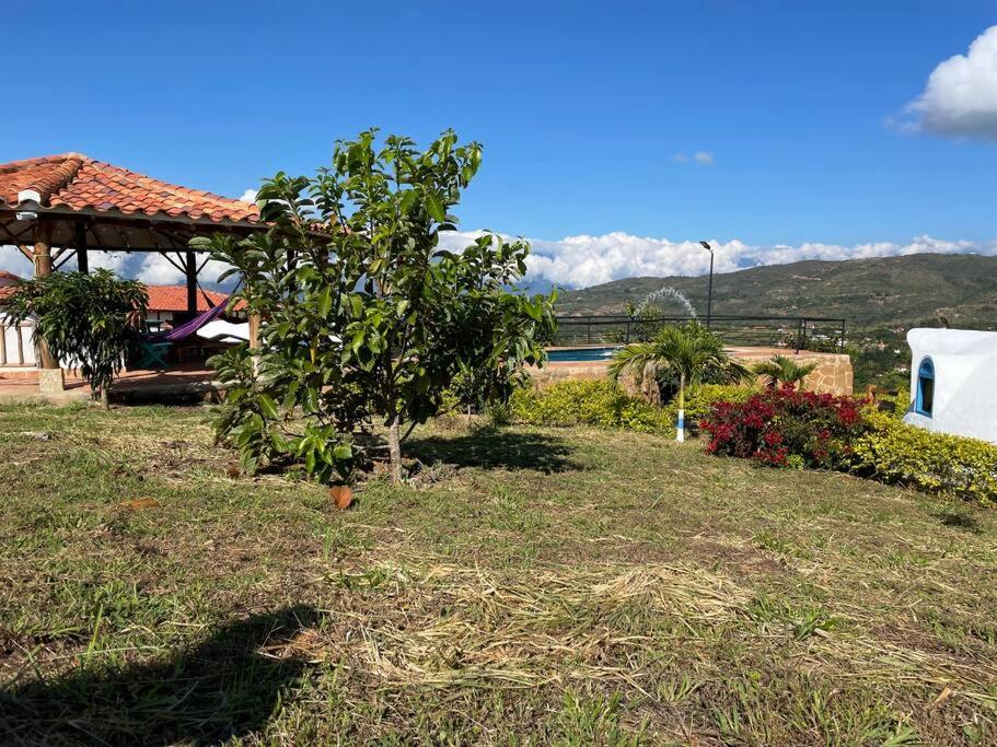 Casa campestre mediterraneo photo 4