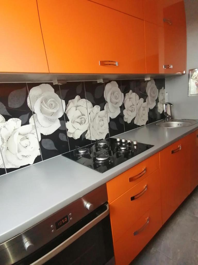 Apartament Arena photo 4