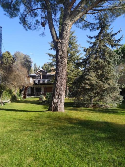 Casa Laguna San Pedro