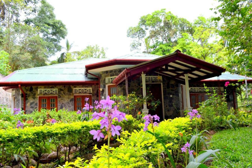 Bogaspitiya Bungalow