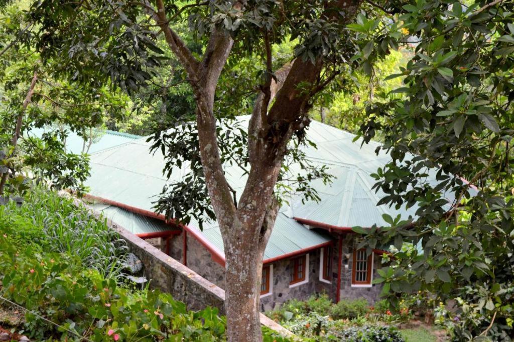Bogaspitiya Bungalow photo 2