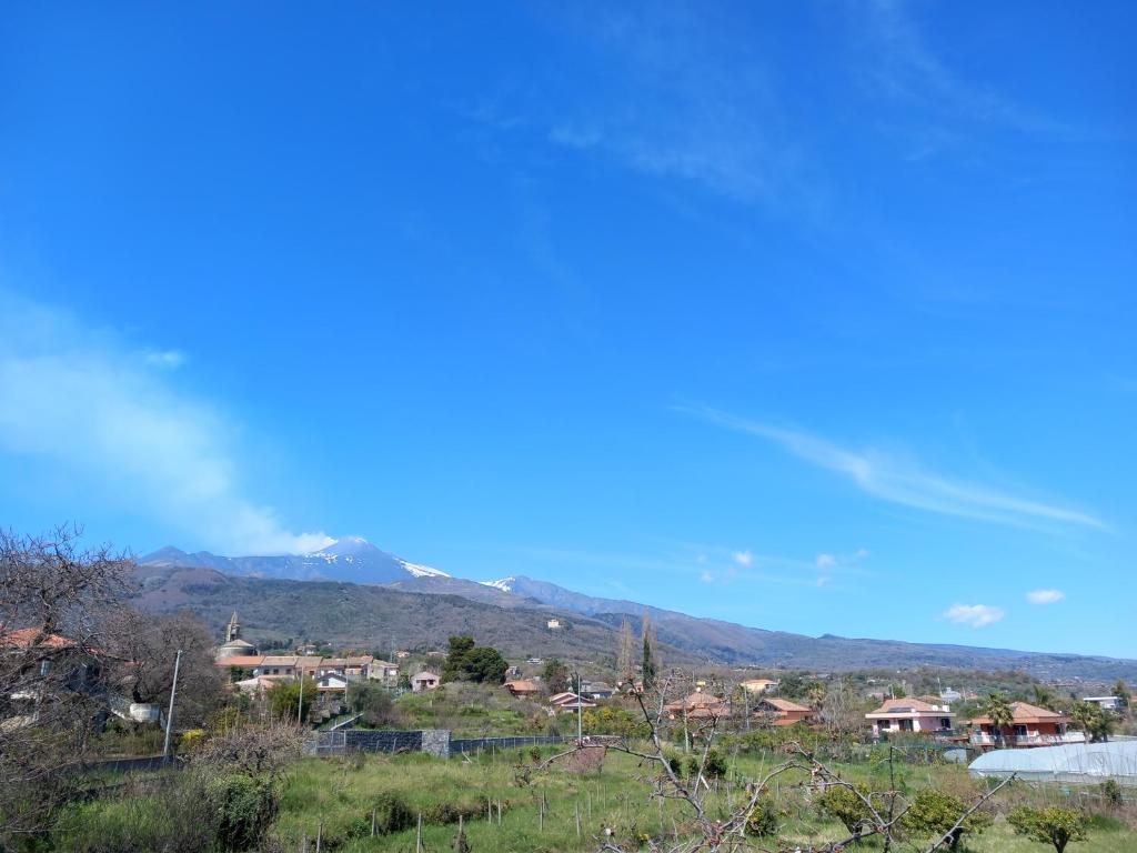 Etna Green House photo 2