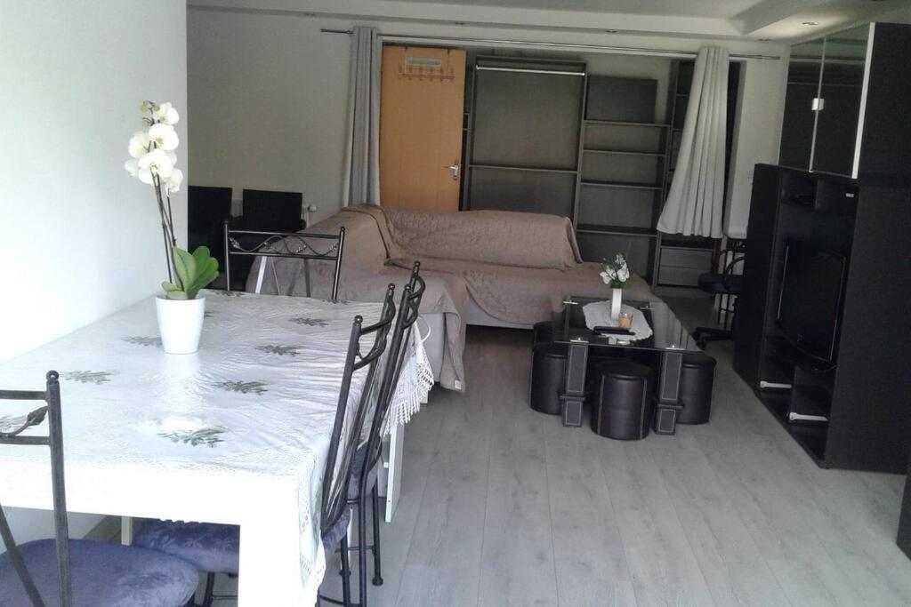 appartement au rez de jardin photo 2