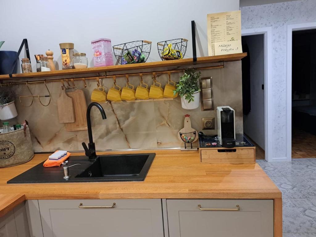 Apartament Lipova photo 3