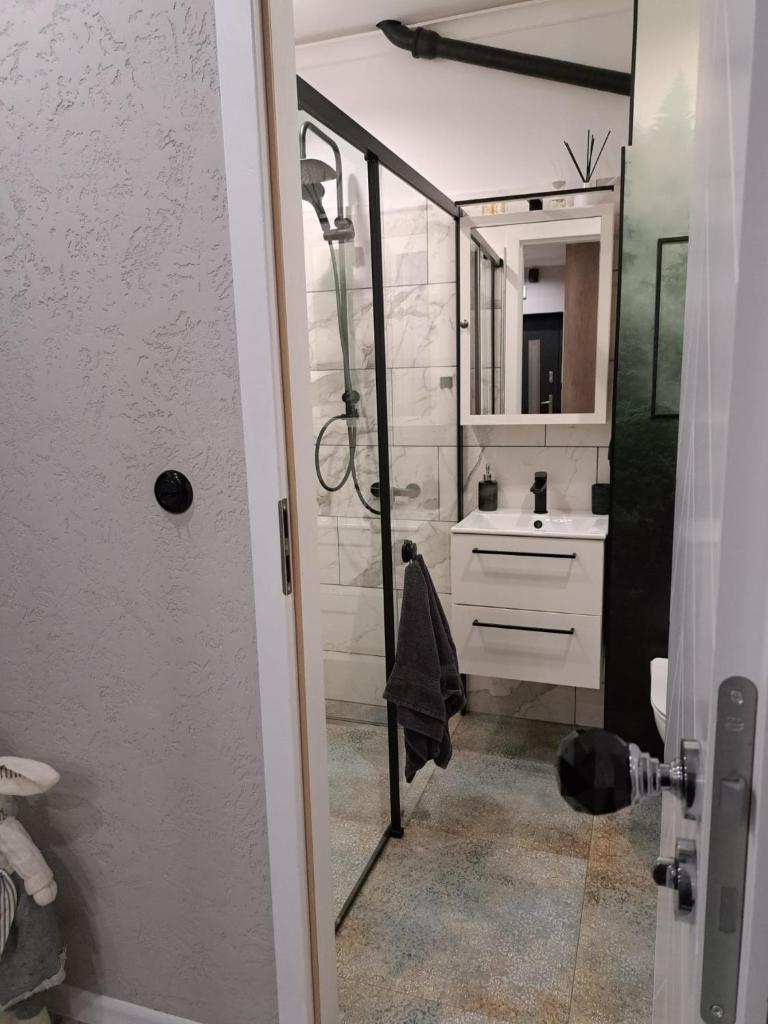Apartament Lipova photo 2