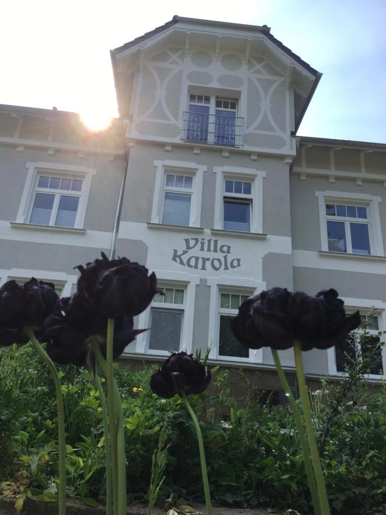 Dach-Maisonette "Villa Karola" an der Therme