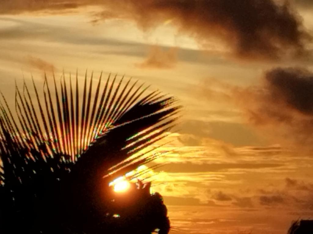 Ninos K.Guraidhoo photo 3