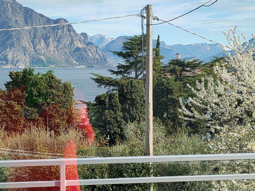 La Svolta Holidays photo 1