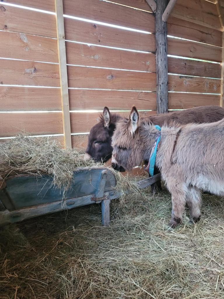 The Farm photo 1
