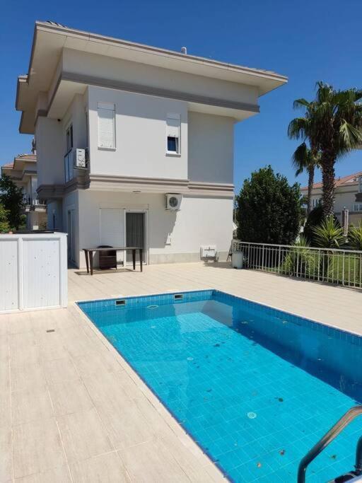 White House Villa photo 4