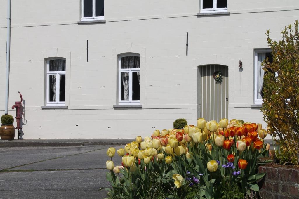 Molenbergrust photo 2