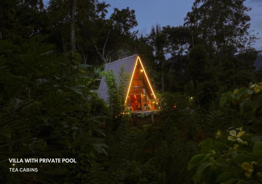 Tea Cabins photo 1