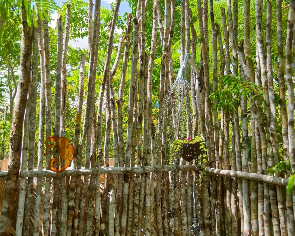GuaiGüí Bayahibe photo 3