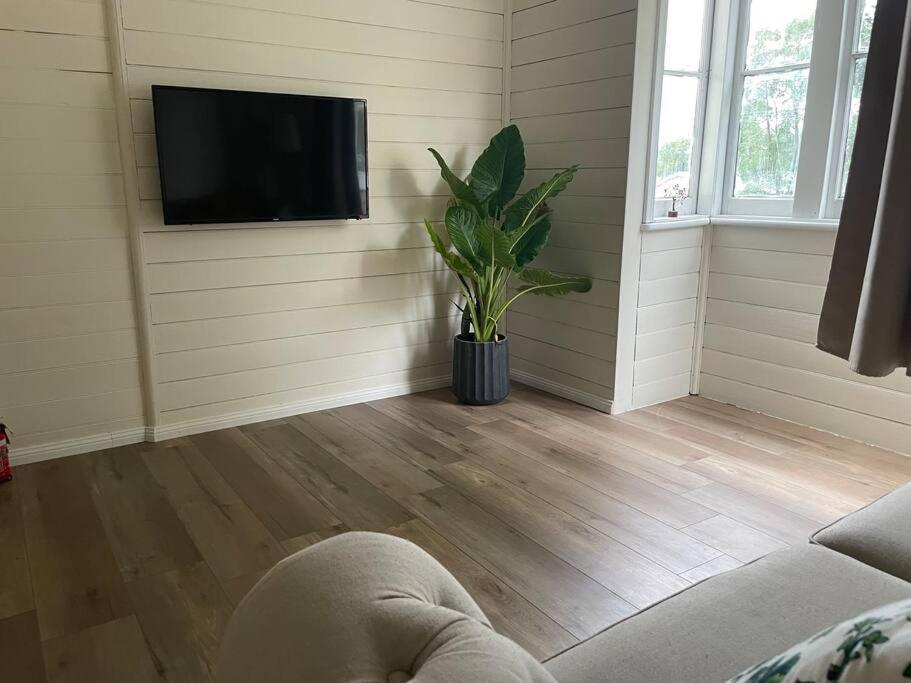 Taree CBD boutique apartment photo 4