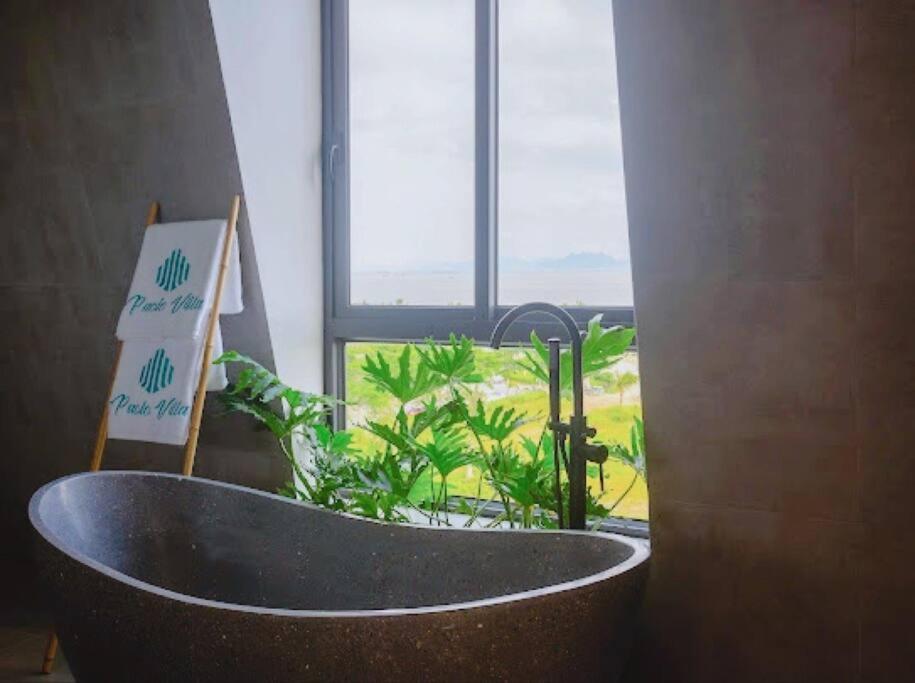 Villa 6PN bể bơi trong nhà và gần bãi biển