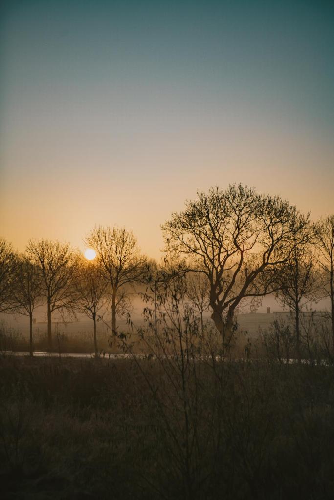 The Unbound Amsterdam photo 4