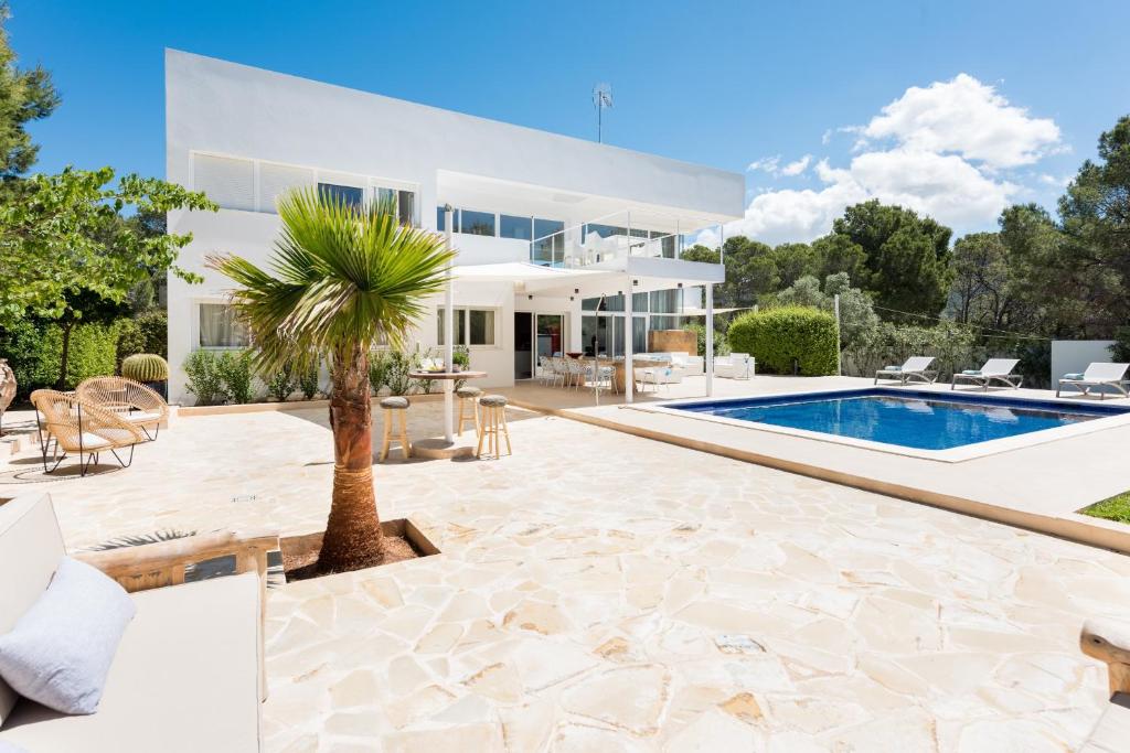 Casa Linnea - San Jose photo 4