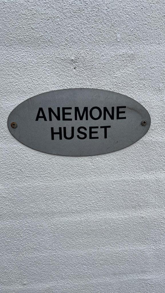 Anemone huset photo 1
