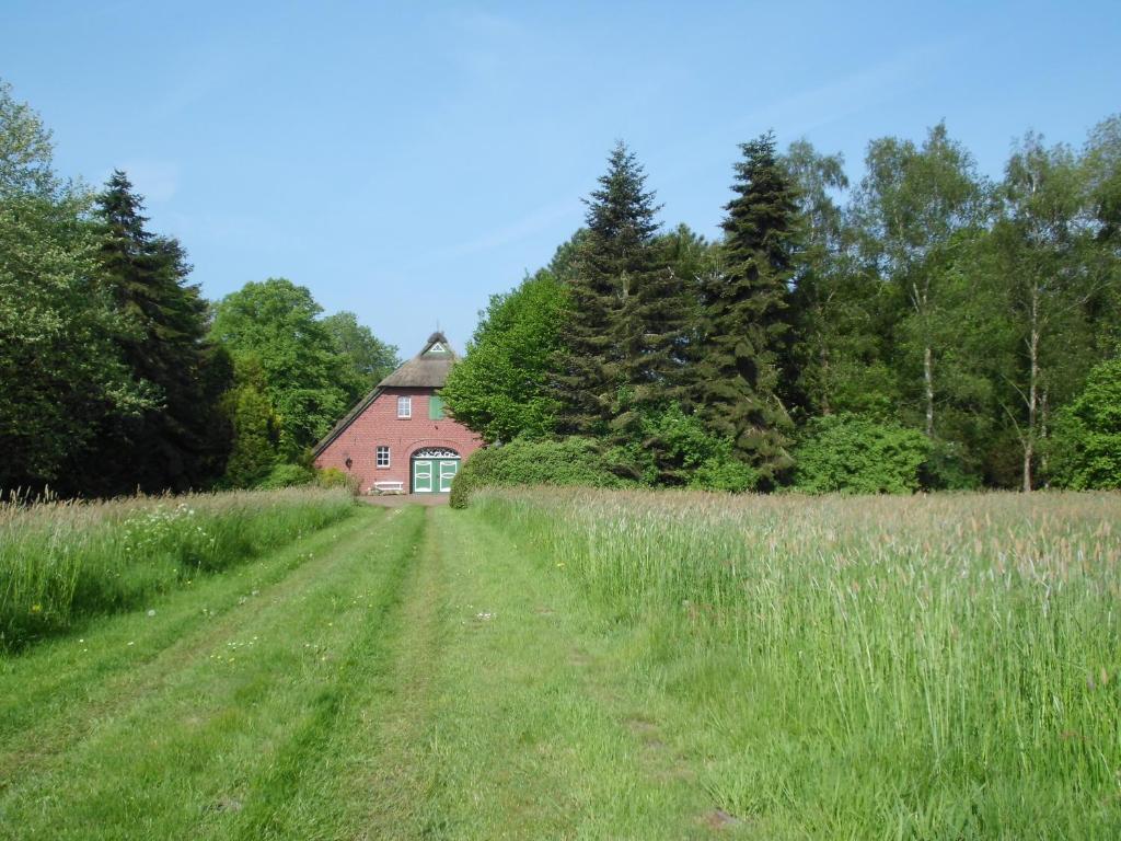 Landhaustraum unter Reet am Jadebusen photo 2
