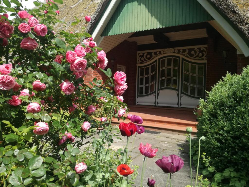Landhaustraum unter Reet am Jadebusen photo 1