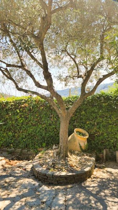 La Stalla, casa rustica nel ranch di cavalli photo 1