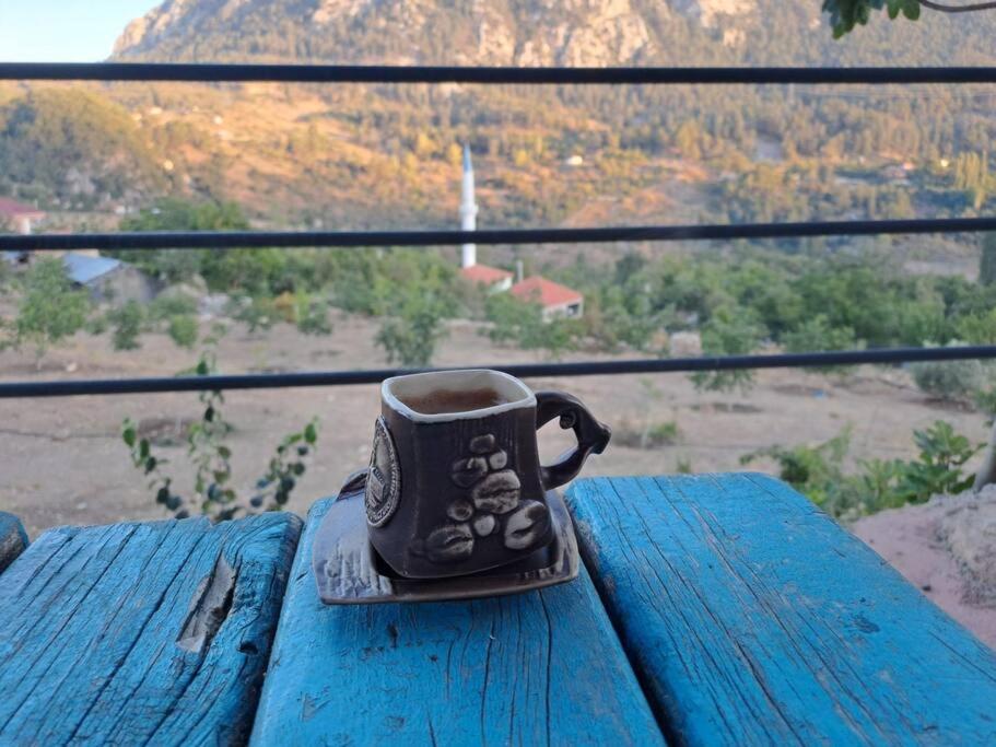 Çiftlik ve Dağ evi Kemer - Canerbey photo 3