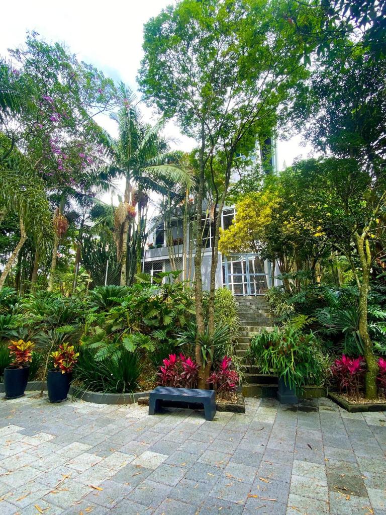 Ampla casa em meio à natureza photo 1