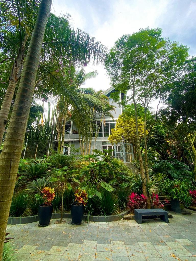 Ampla casa em meio à natureza photo 3