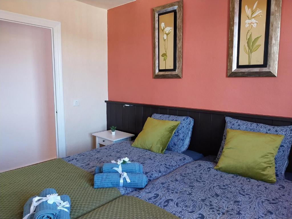 Casa Palma photo 4