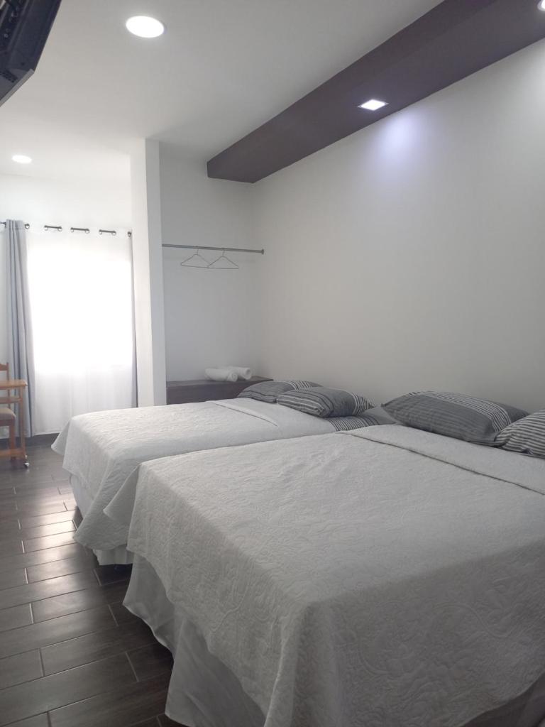 Hotel y Plaza JMI photo 4