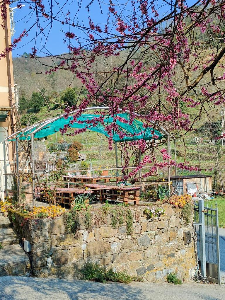 Cà di Nonni photo 2