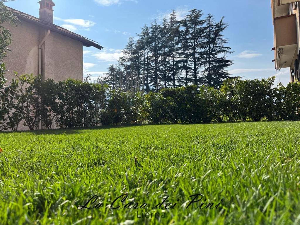 La casa dei pini photo 3