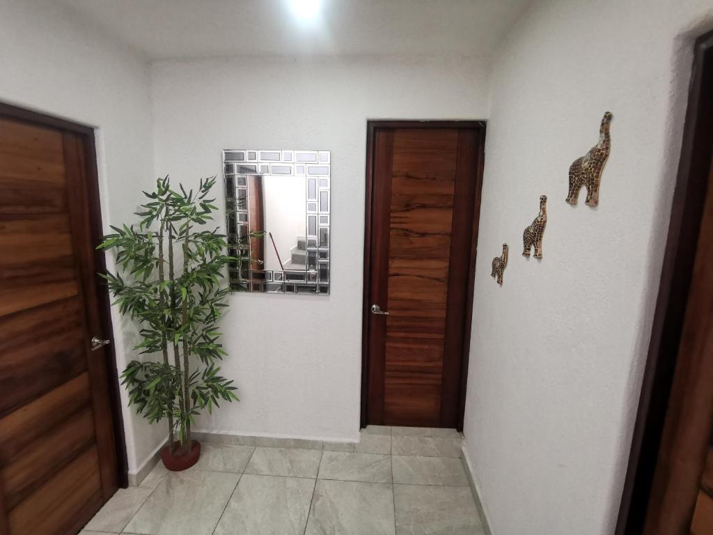 Villa el roble photo 4