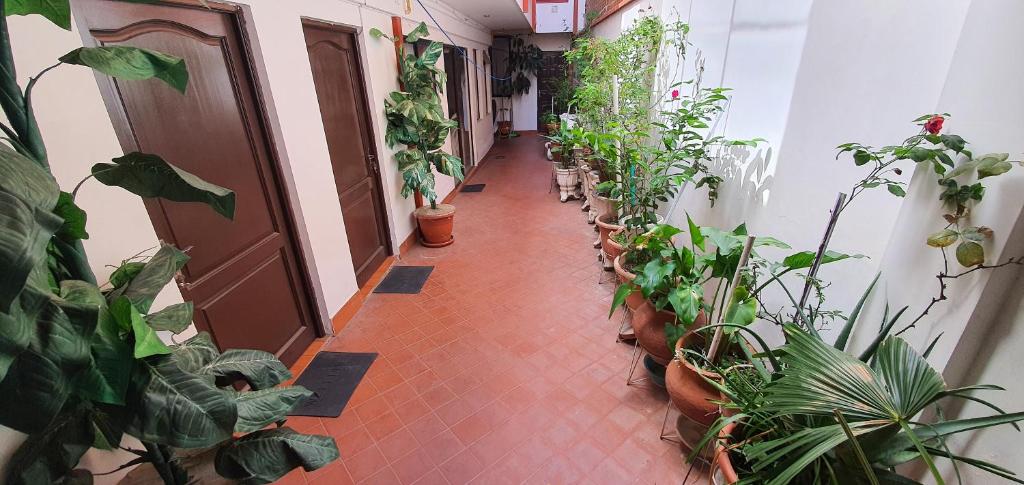 Casa Familiar Munaypatita