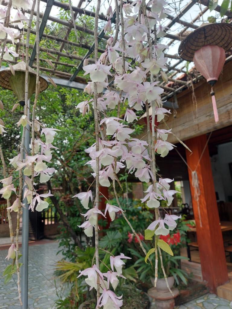 Trang An Family Homestay